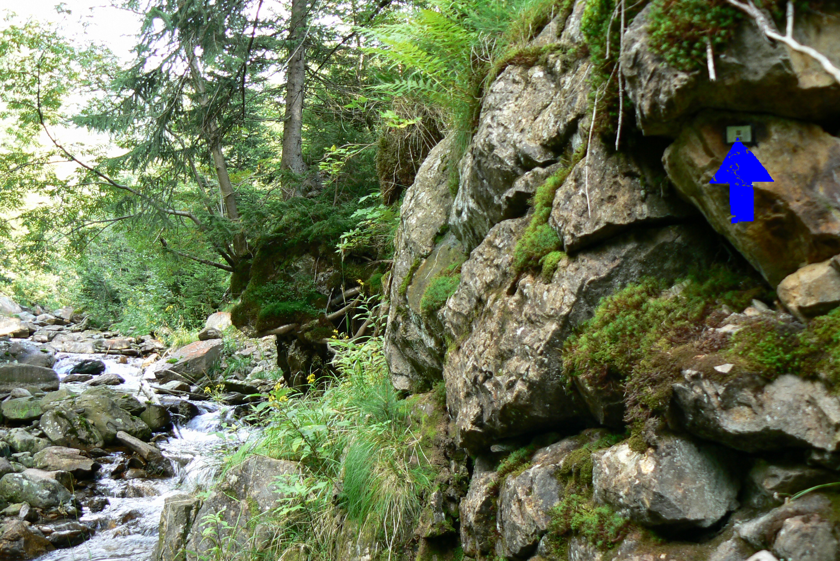 č.37.1 Tetřeví (skála u potoka)